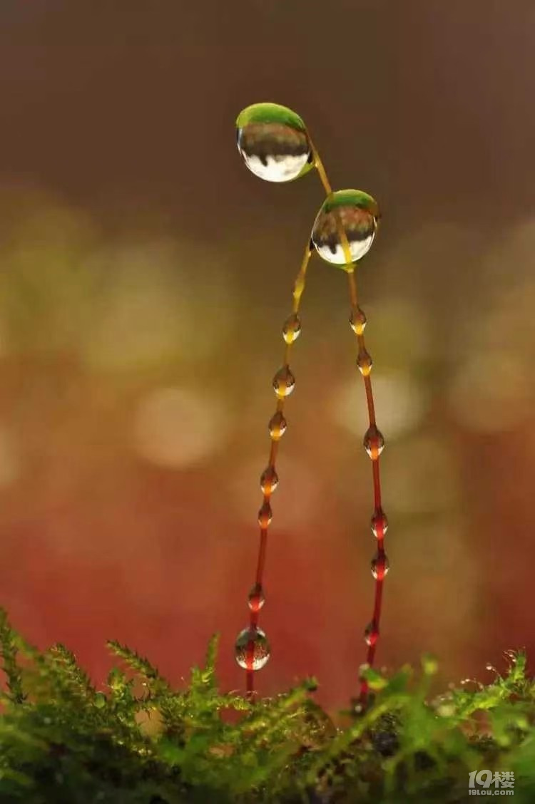 雨露均沾,相互依靠!