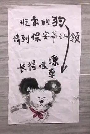 抱回家一只小萌狗,養(yǎng)了幾個月……怎么這么潦草!哈哈哈