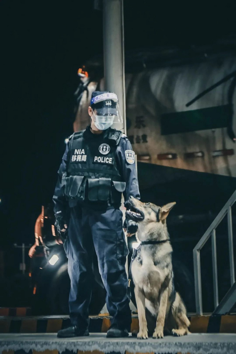 被人民日报点名,拥有自己的百度百科………这只狗狗太帅了!