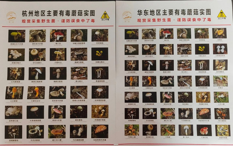 Ůӳ@|l(f)F(xin)컨崹OW(wng)С`w
