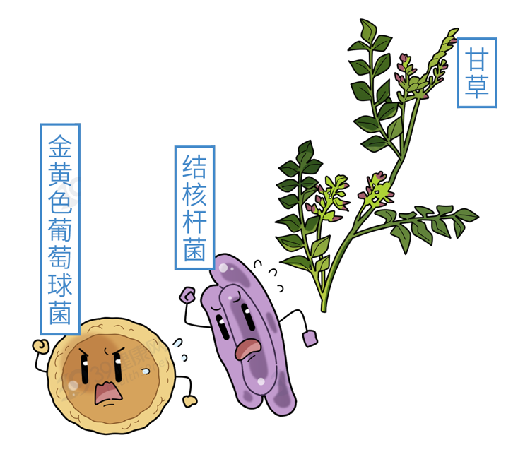 嗓子干、癢、有痰咳不出?是這些疾病在敲門!