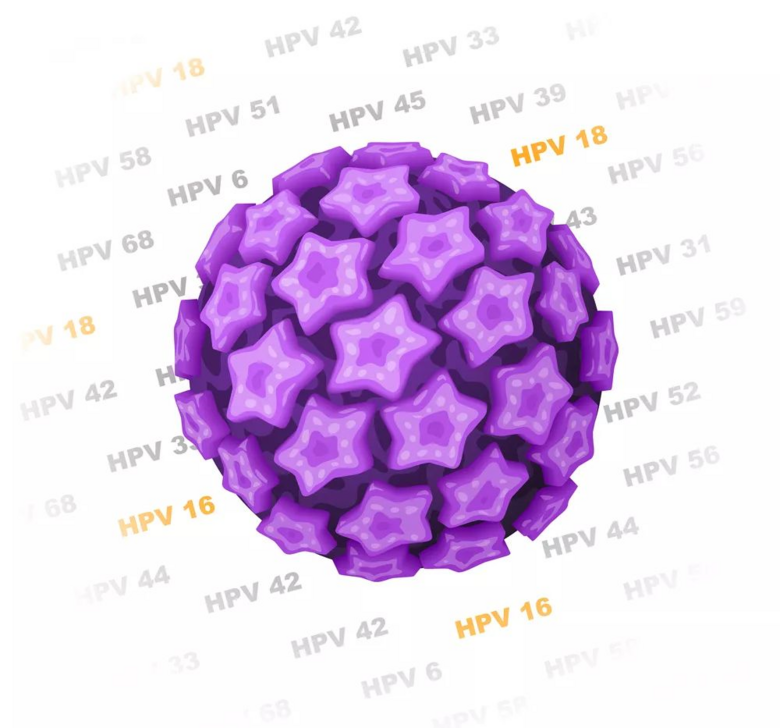 rărŃr HPV ԓxɶͶ