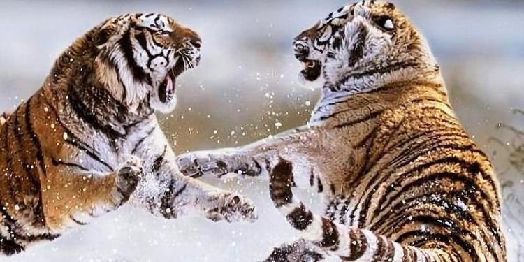 ���Ƕ������������ˮ����ˮ��ˮ������ôѡ��