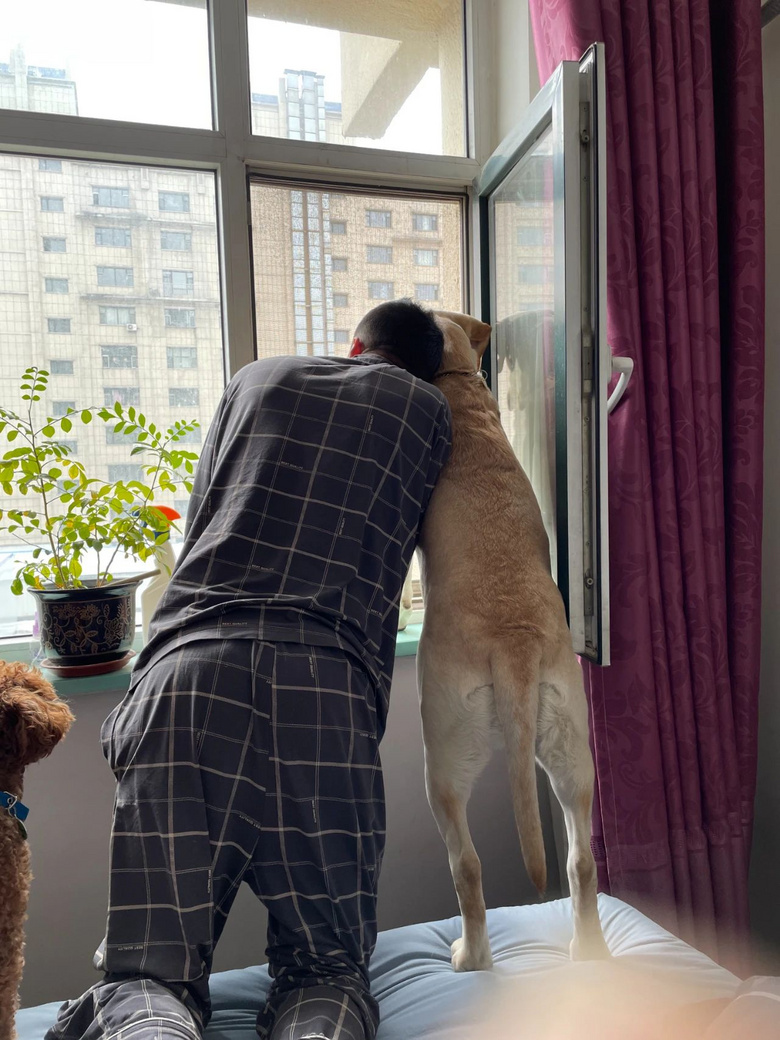 本想跟狗子来张背影照,没想到……这货它作弊!