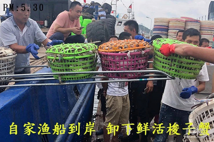 @所有人！久等了，开渔头批梭子蟹已上岸，饱满鲜美产地顺丰直发