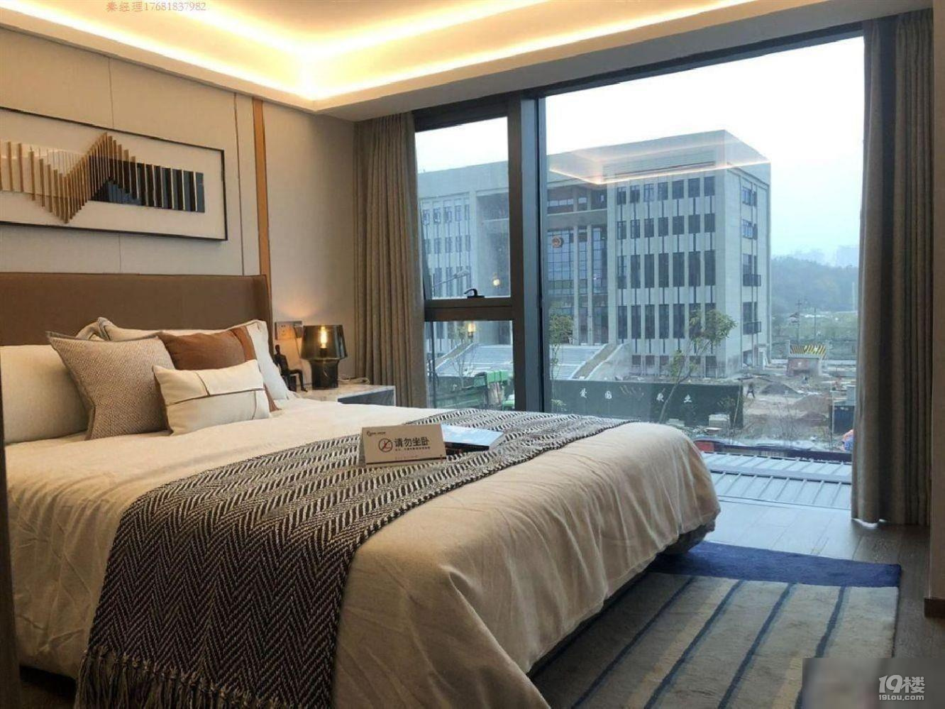 嘉合未来金座30平2居南北向精装修帝铁口港丽中心并头