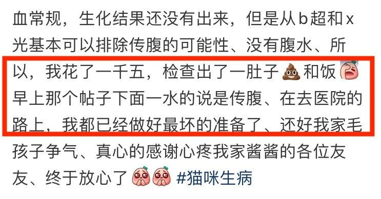 黃花大閨貓突然有了大孕肚,花重金一檢查……笑吐了哈哈哈