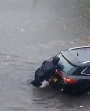 鏟屎官暴雨里幫人推車,狗狗居然也伸出小爪爪,好可愛!