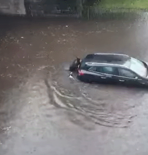 鏟屎官暴雨里幫人推車,狗狗居然也伸出小爪爪,好可愛!