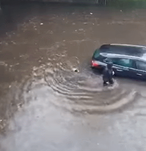 鏟屎官暴雨里幫人推車,狗狗居然也伸出小爪爪,好可愛!