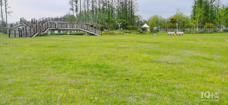 上海長興島郊野公園戶外活動場地介紹