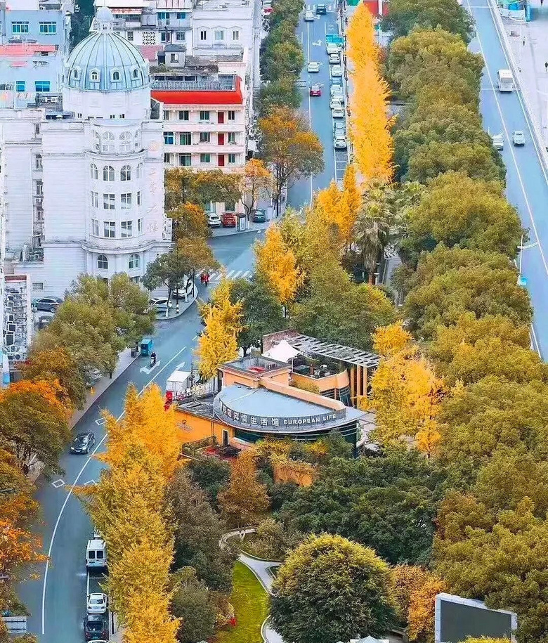 浙江有座藏在大山里的“小香港”,一半江南一半歐洲