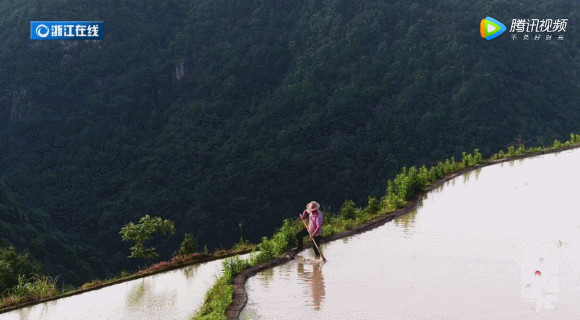 浙江有座藏在大山里的“小香港”,一半江南一半歐洲
