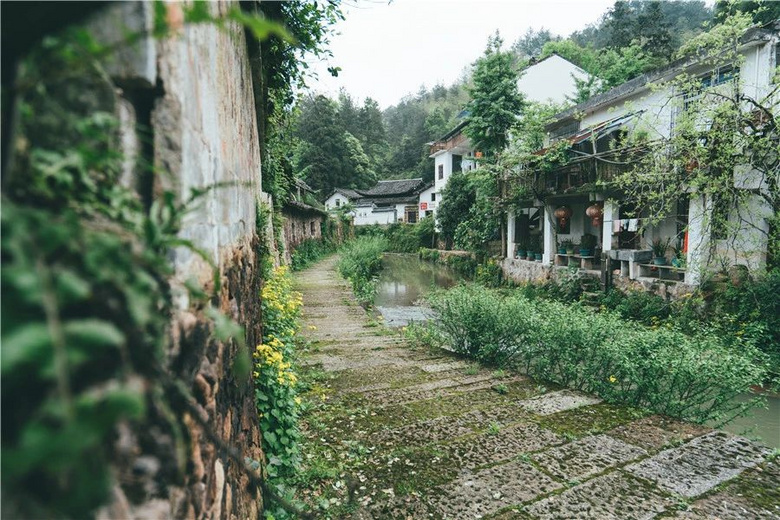 浙江有座藏在大山里的“小香港”,一半江南一半歐洲
