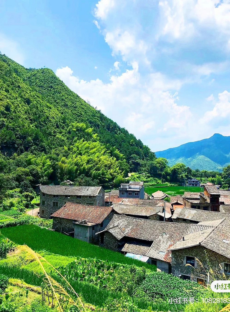 浙江有座藏在大山里的“小香港”,一半江南一半歐洲
