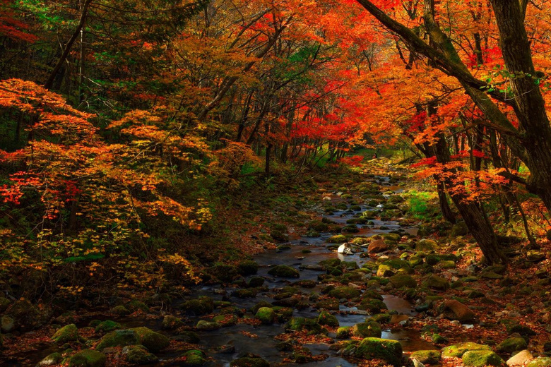 東北這座低調小城突然開掛!9、10月將迎來中國最美早秋