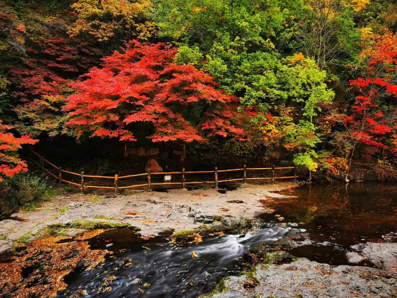 東北這座低調小城突然開掛!9、10月將迎來中國最美早秋
