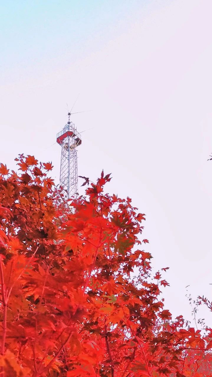 東北這座低調小城突然開掛!9、10月將迎來中國最美早秋