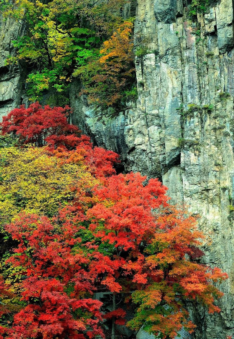 東北這座低調小城突然開掛!9、10月將迎來中國最美早秋