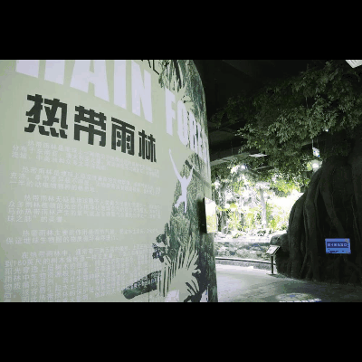 小长假带娃游江和美：59.9元起打卡梦幻神奇的室内海洋公园