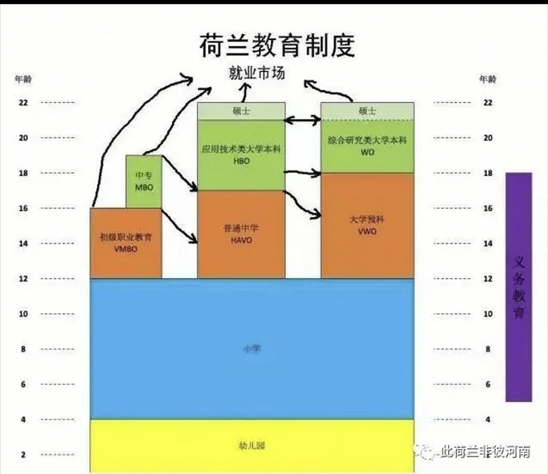 荷兰教授妈妈自述：女儿上小学才惊觉，普职分流从小升初开始