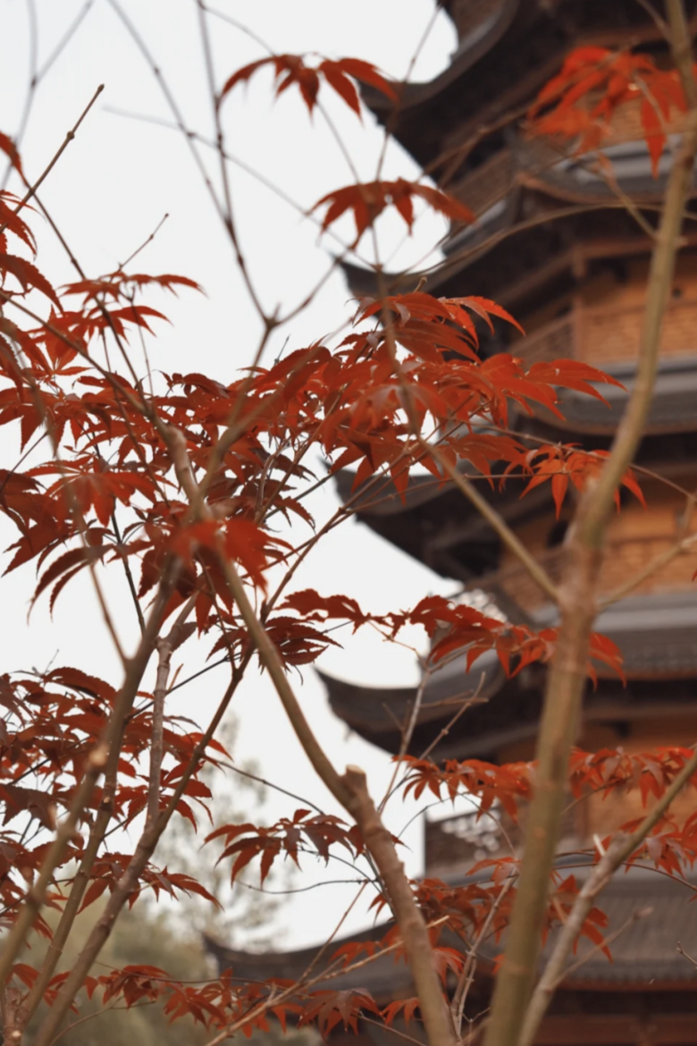 世界美食之都,江蘇又占一席,這座低調(diào)小城悄悄驚艷全國