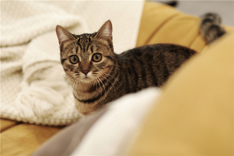 叶落而知天下秋,我把秋天搬进了家里~