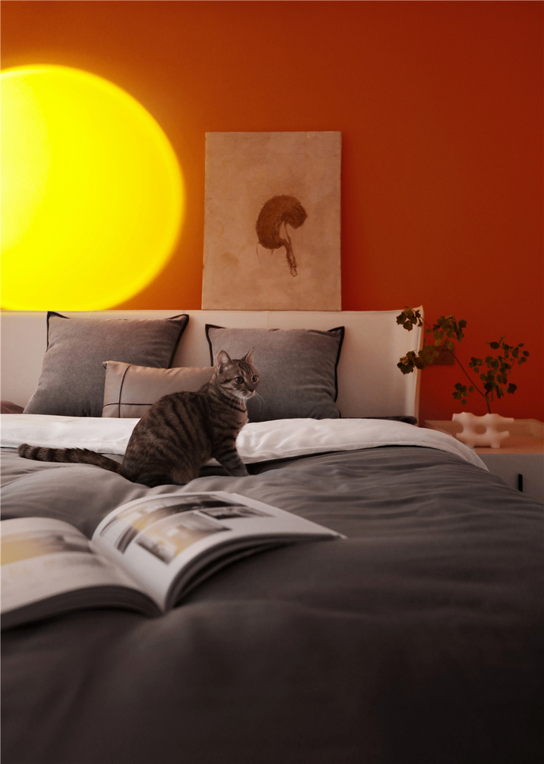 叶落而知天下秋,我把秋天搬进了家里~