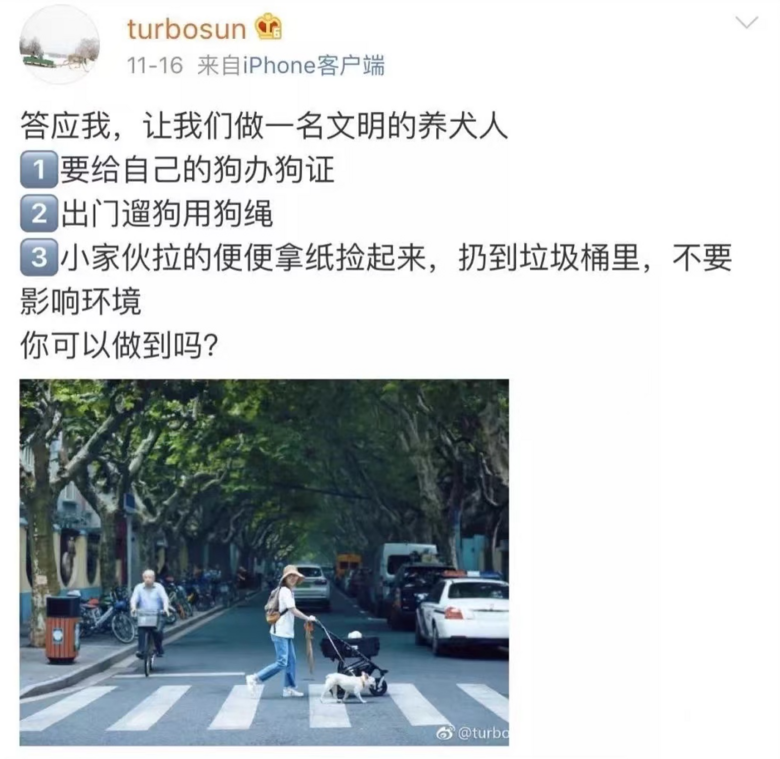 《當(dāng)家主母》小白貓生死成迷,“孫儷救驢”卻沖上熱搜,實(shí)在太諷