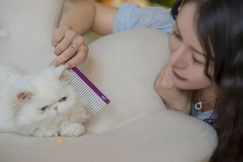 “這輩子做的最不后悔的事,就是養(yǎng)了一只貓!”