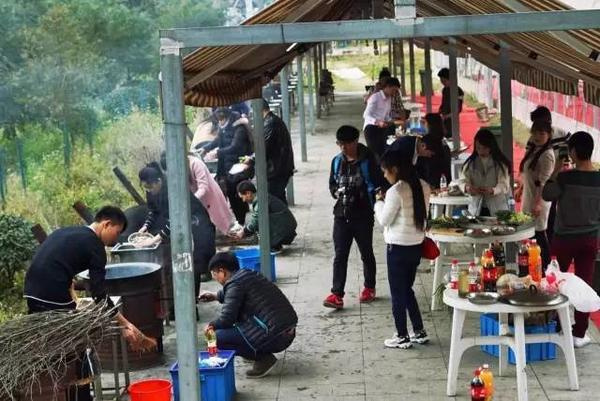 莫干山沈园户外探险乐园:锦南小学研学之旅
