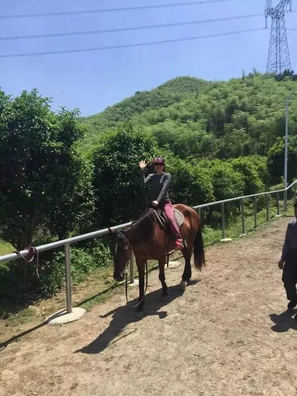 莫干山沈园户外探险乐园:锦南小学研学之旅