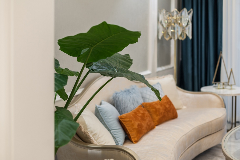 180�O������ɫ���Σ�ʵ�����������