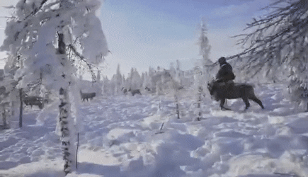 -71℃！看了俄罗斯这个500人小村庄的生活，我牙齿忍不住了
