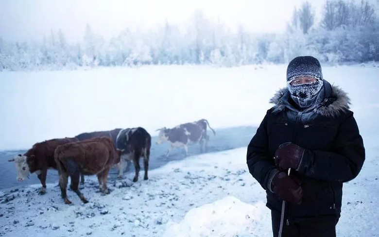 -71℃！看了俄罗斯这个500人小村庄的生活，我牙齿忍不住了