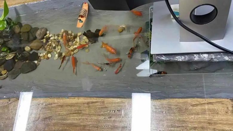 每天凌晨4点起床，换过31份职业！杭州这位书法家火了