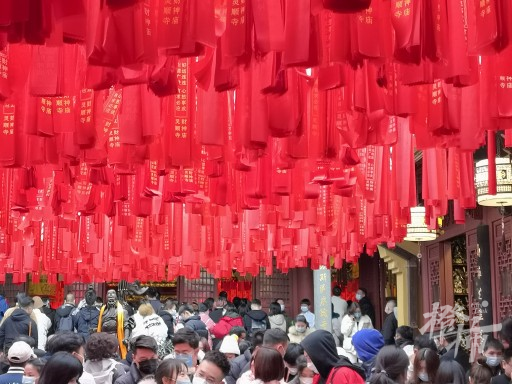 今天北高峰有多热闹？一大早索道排队两三百米！