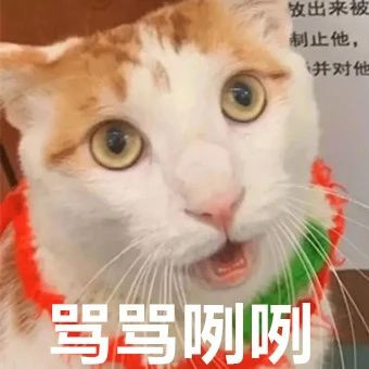 某寵物醫(yī)院員工因毆打病患被迫停職,知道真相后…笑yue了�。�