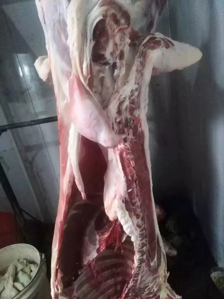 一碗傳承800余年的紅燒羊肉,化掉一冬的冷!