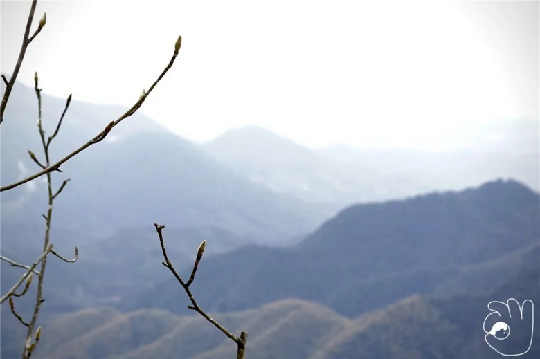 來回4h,雪后的徑山寺,值了!