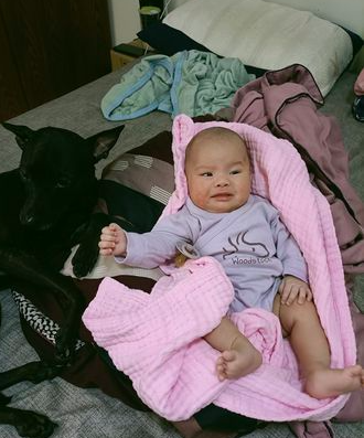 狗狗見主人要“打”嬰兒,立馬起身起保護(hù)!有狗做朋友真是太幸福