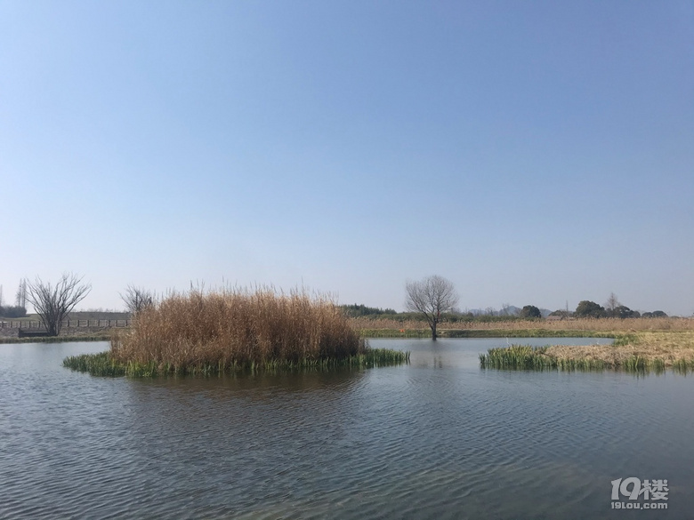 良渚古城遺址公園半日游