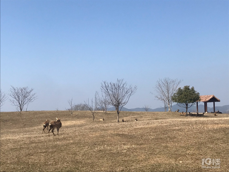 良渚古城遺址公園半日游