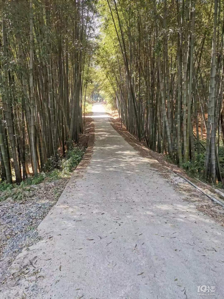 龙坞长埭村