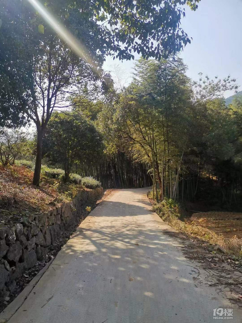 龙坞长埭村