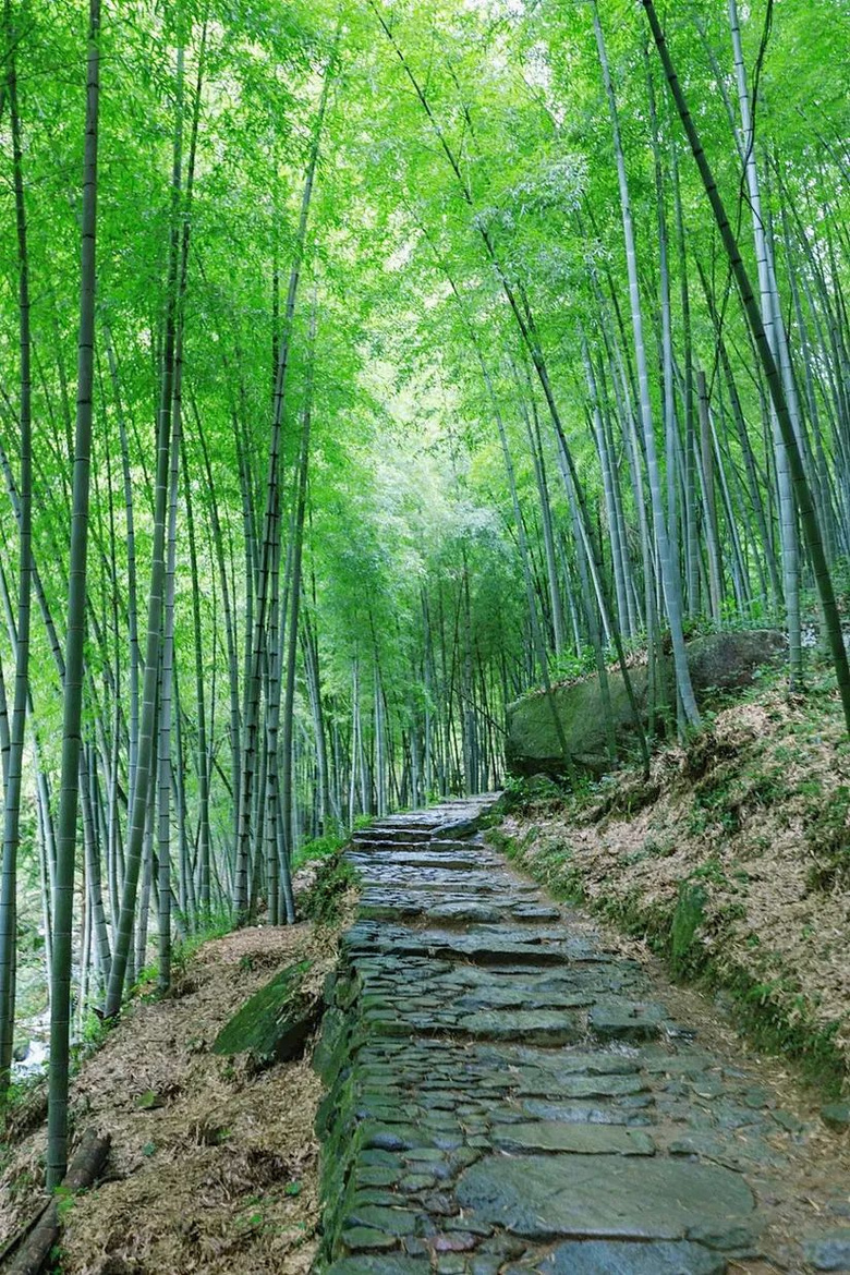6條又美又野的春日徒步線路,好想都去走走