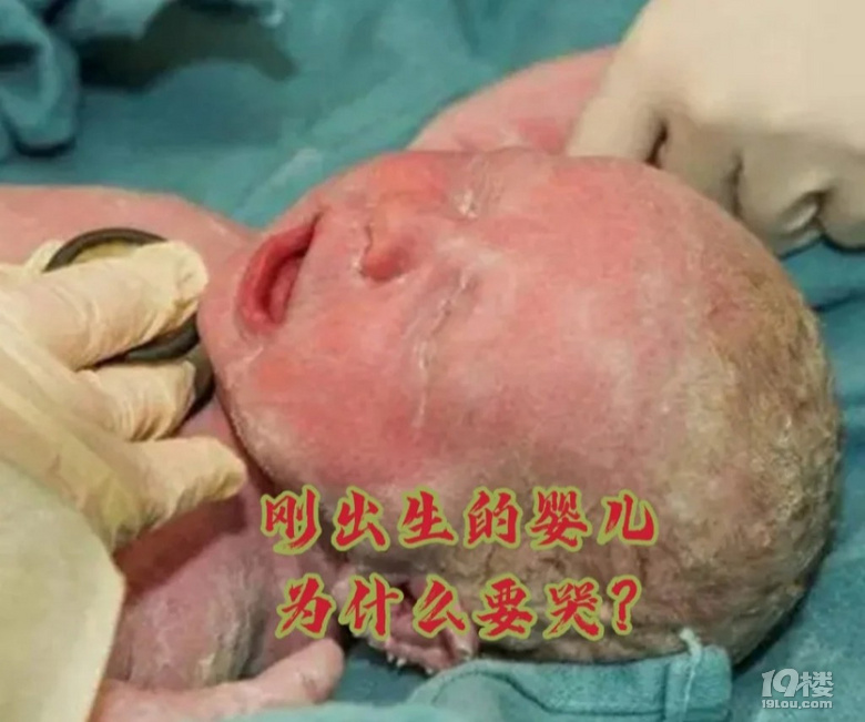 小屁孩的提問(wèn):人生下來(lái)為什么要哭？這樣不是不利于保護(hù)自己?jiǎn)幔? /></div><div>小朋友們，真是個(gè)好問(wèn)題。</div><div>因?yàn)樘涸谧訉m內(nèi)肺泡處于閉合狀態(tài)不需要呼吸，而嬰兒剛出生時(shí)大哭可將空氣吸入肺內(nèi)使肺泡完全打開(kāi)，從而使肺可以正常的呼吸。當(dāng)然，還有一個(gè)功能就是，提醒成人保護(hù)自己。</div><div>人類(lèi)從猿人進(jìn)化到智人，從爬行進(jìn)化到直立行走，在人類(lèi)進(jìn)步的過(guò)程中，手成為了人區(qū)別于動(dòng)物的最大特征，人類(lèi)從此可以自由的使用工具，幫助人類(lèi)成為動(dòng)物鏈最頂層的生物。</div><div>當(dāng)然有得到就有付出，人類(lèi)為此付出了代價(jià):因?yàn)橹绷⑿凶�，人�?lèi)的骨盆變小，相應(yīng)的，給新生兒從媽媽肚子里走出來(lái)的道路也變窄了，這給媽媽們生娃造成了很大的危險(xiǎn)性，于是女性又進(jìn)化了一個(gè)新功能:<span id=