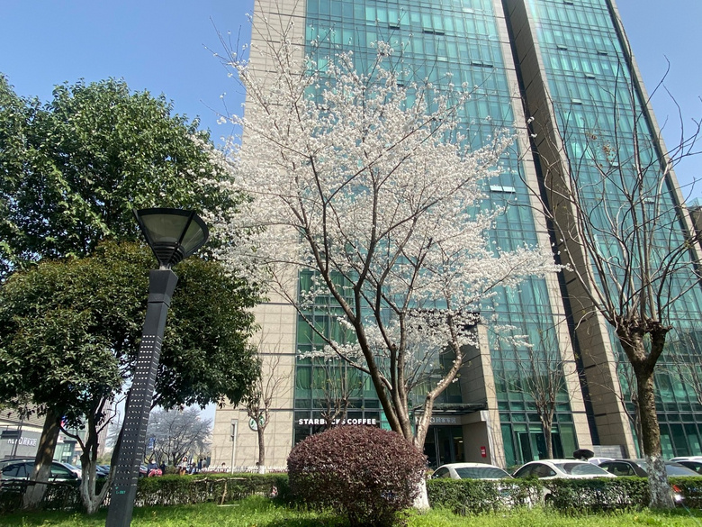 �������ڣ����̻��죬��ɽ����Ҽ��Ժˮ�����գ�