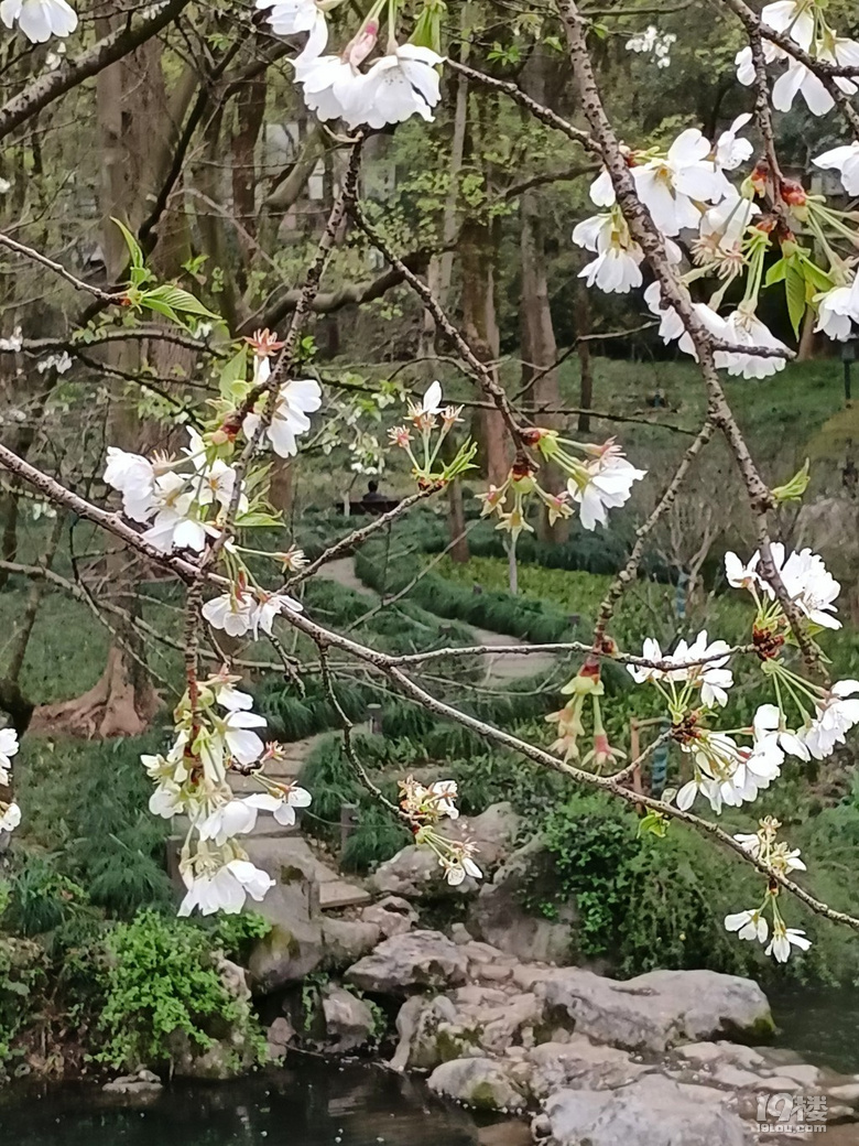 春天的太子湾