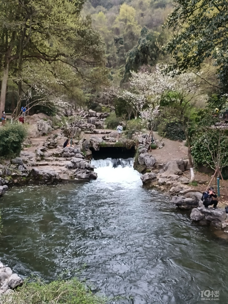 春天的太子湾